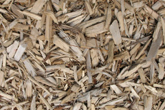 biomass boilers Wood House